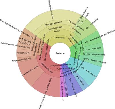 The interplay between gingival crevicular fluid microbiome and metabolomic profile in intensively treated people with type 1 diabetes - a combined metagenomic/metabolomic approach cross-sectional study